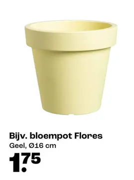 Aanbieding: Bijv. bloempot Flores