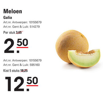 Aanbieding: Meloen Galia