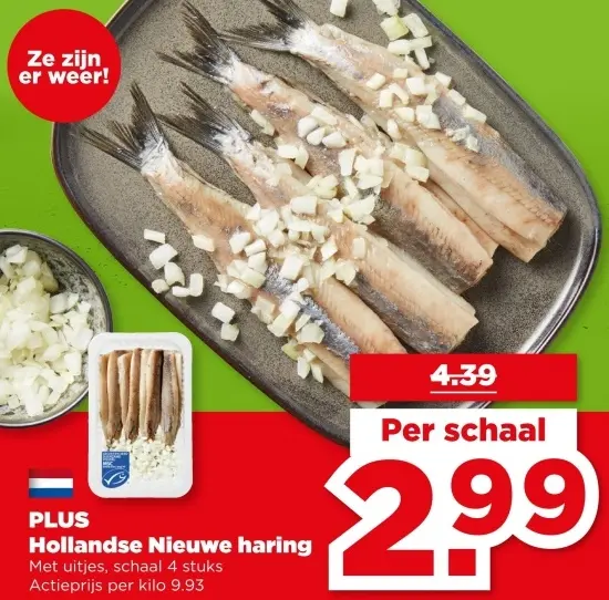 Hollandse Nieuwe haring