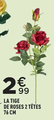 Offre: La tige de roses 2 têtes