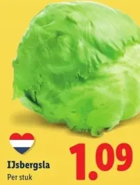 Aanbieding: IJsbergsla