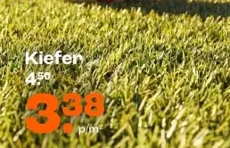 Aanbieding: Kunstgras Kiefen