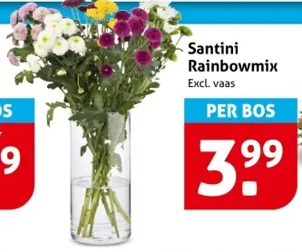 Santini Rainbowmix