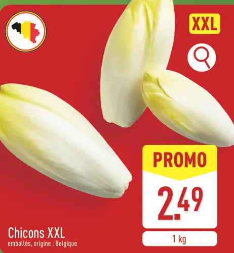 Offre: Chicons XXL
