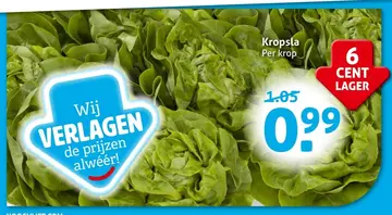 Aanbieding: Kropsla