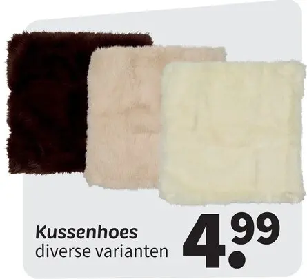 Promotie: Kussenhoes