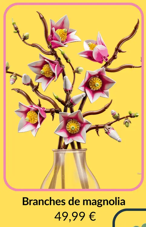 Offre: Branches de magnolia