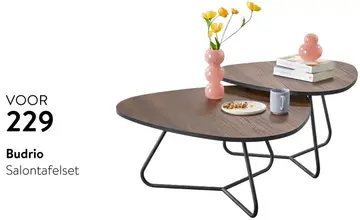 Aanbieding: Budrio Salontafelset
