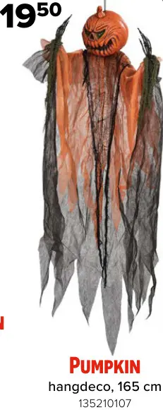 Promotie: Pumpkin hangdeco