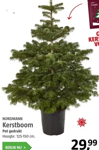 Aanbieding: Kerstboom