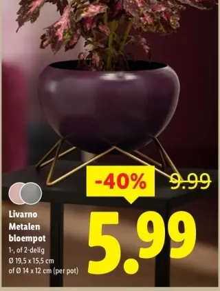 Aanbieding: Livarno Metalen