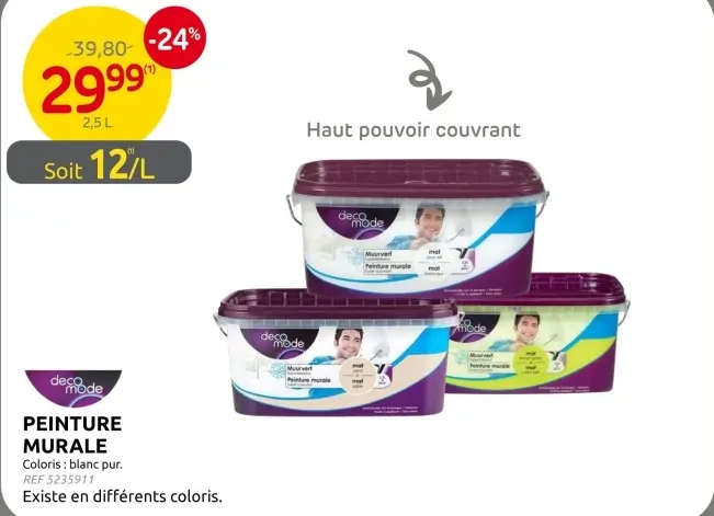 Offre: Peinture murale