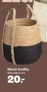 Aanbieding: Mand Andilly