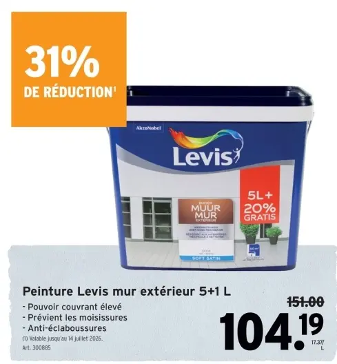 Offre: Peinture Levis mur extérieur