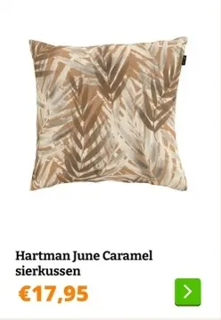 Aanbieding: Hartman June Caramel sierkussen