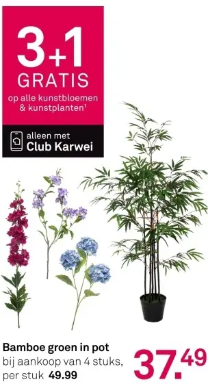 Aanbieding: Bamboe groen in pot