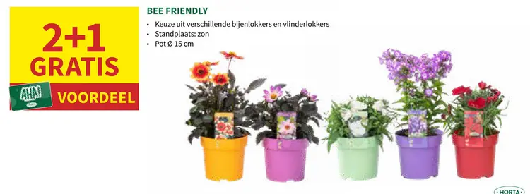 Promotie: Bee friendly planten