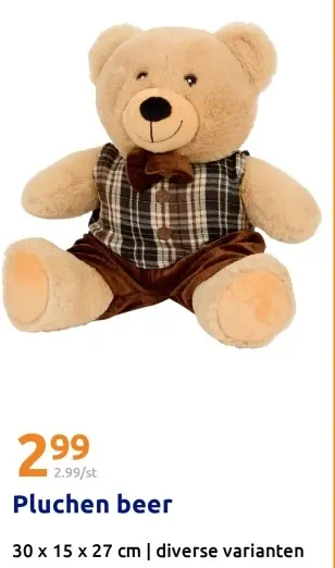 Aanbieding: Pluchen beer