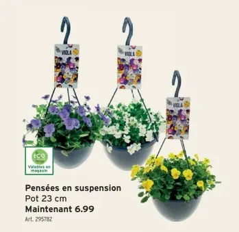 Offre: Pensées en suspension