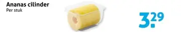 Aanbieding: Ananas cilinder