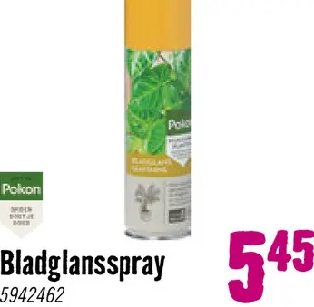 Aanbieding: Bladglans 250 ml