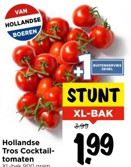 Aanbieding: Hollandse Tros Cocktailtomaten