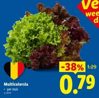 Promotie: Multicolorsla