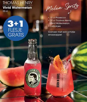 Aanbieding: Thomas Henry Vivid Watermelon