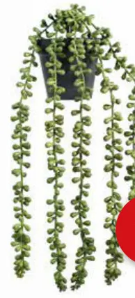 Offre: Plante artificielle retombante