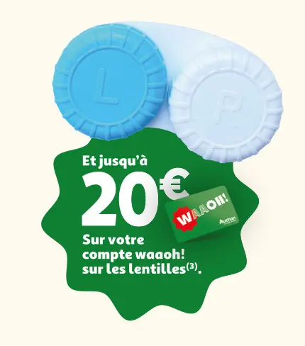 Offre: Lentilles