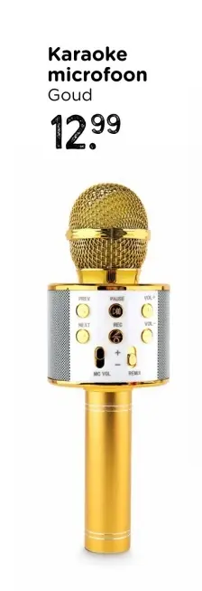 Promotie: Karaoke microfoon