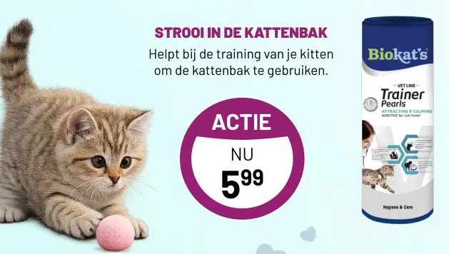 Aanbieding: Trainer Pearls