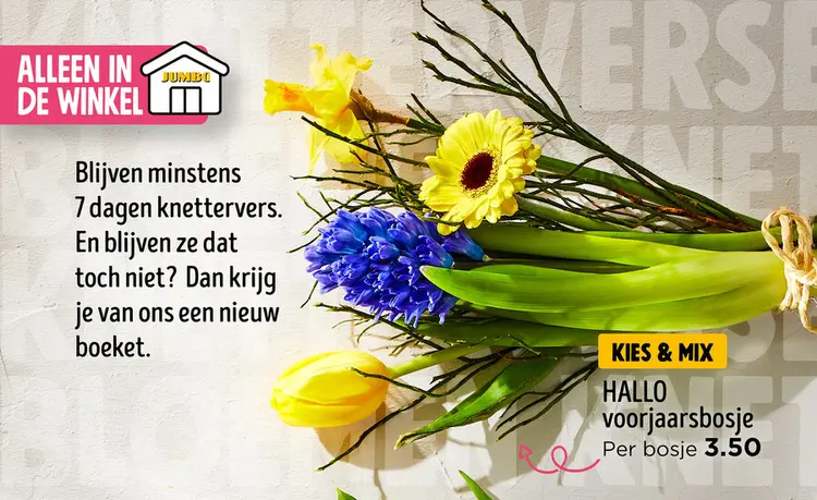 Aanbieding: HALLO voorjaarsbosje