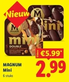Aanbieding: Magnum Mini Double