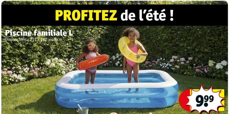 Offre: Piscine familiale L