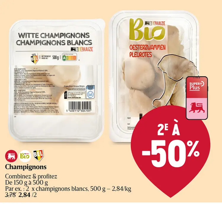 Offre: Champignons