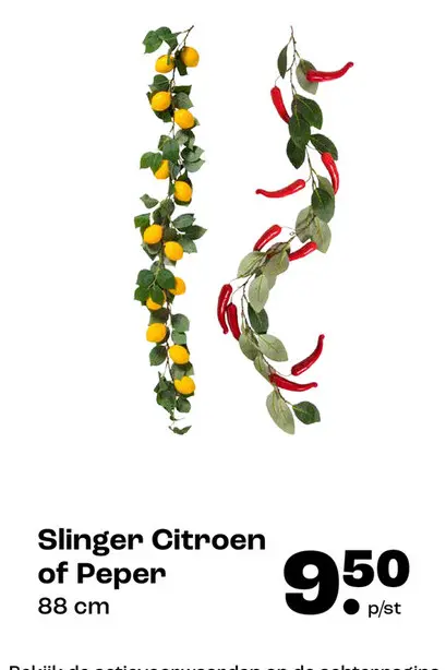 Promotie: Slinger Citroen of Peper