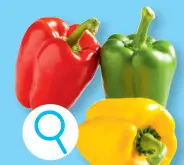 Offre: Melange de poivrons