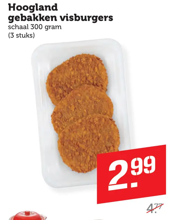 Aanbieding: gebakken visburgers