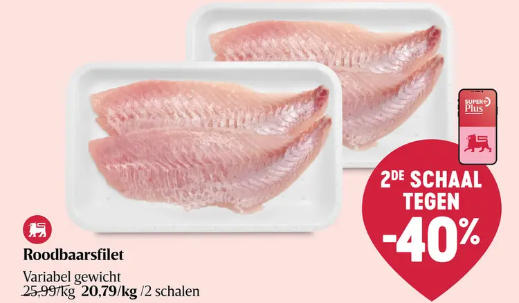 Promotie: Roodbaarsfilet