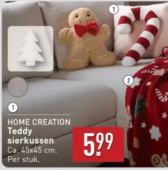 Aanbieding: Teddy sierkussen