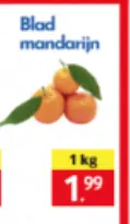 Aanbieding: Algerijnse Deglet Nour dadels