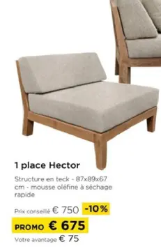 Offre: 1 place Hector