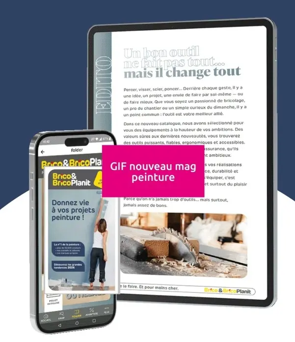 Offre: Nouveau mag peinture