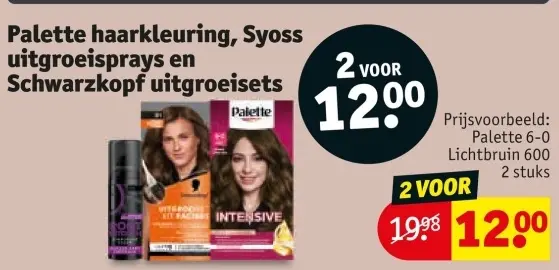 Aanbieding: Palette haarkleuring, Syoss uitgroeisprays en Schwarzkopf uitgroeisets