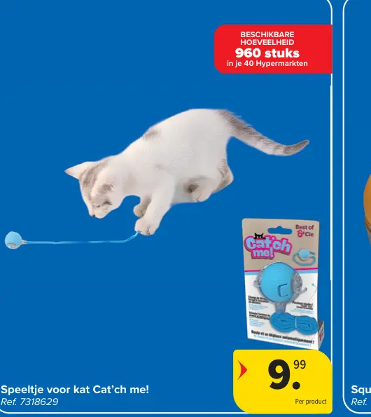 Promotie: Speeltje voor kat Cat'ch me!