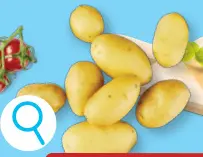 Offre: Pommes de terre