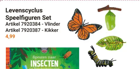 Aanbieding: Levenscyclus speelfiguren