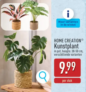 Promotie: Kunstplant