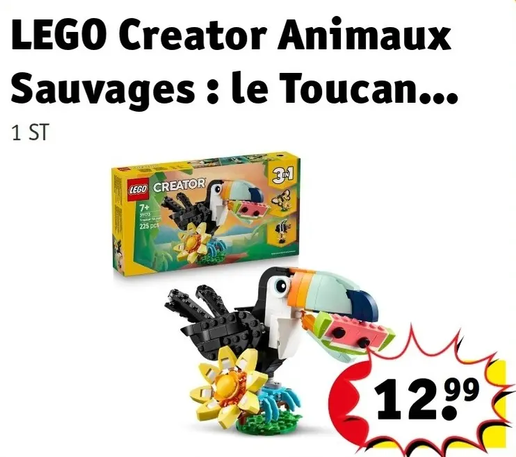 Offre: Animaux Sauvages : le Toucan